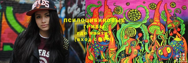 дурь Осинники