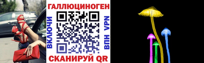 Псилоцибиновые грибы Psilocybine cubensis  даркнет сайт  Орлов 